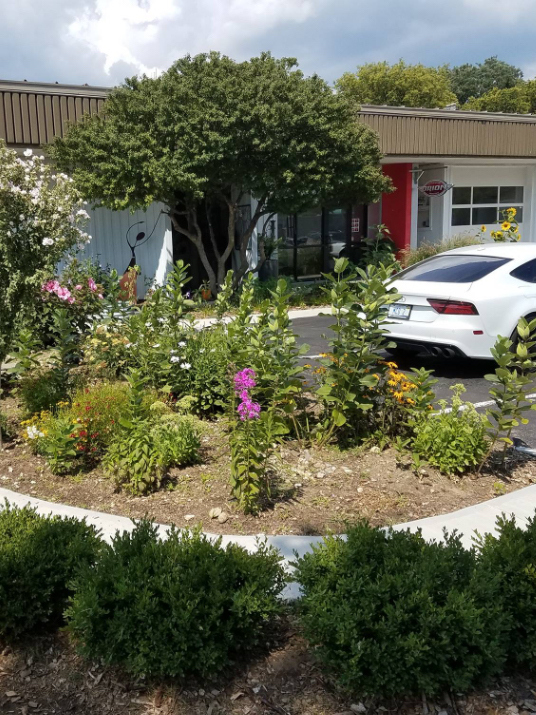 garden in front of Orion Automotive
